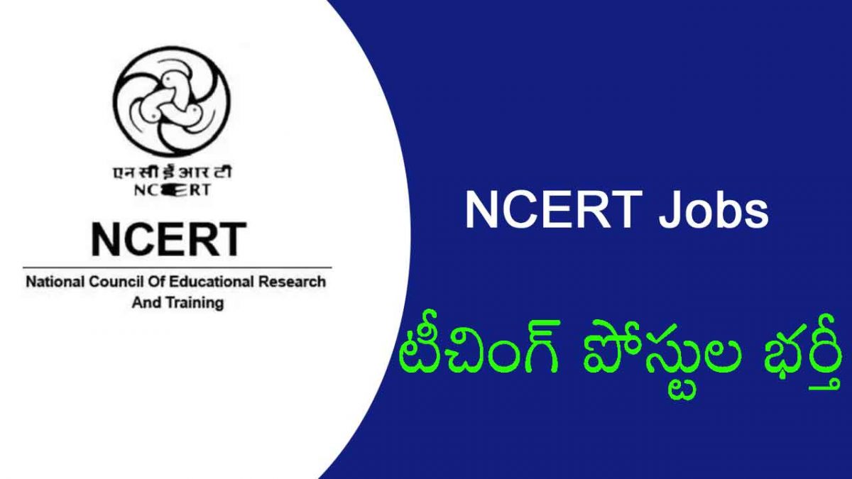 NCERT Jobs