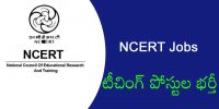 NCERT Jobs