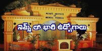 NIMS Hyderabad Jobs 2024: నిమ్స్ లో టెక్నీషియన్ పోస్టులు.. 101 ఖాళీలు