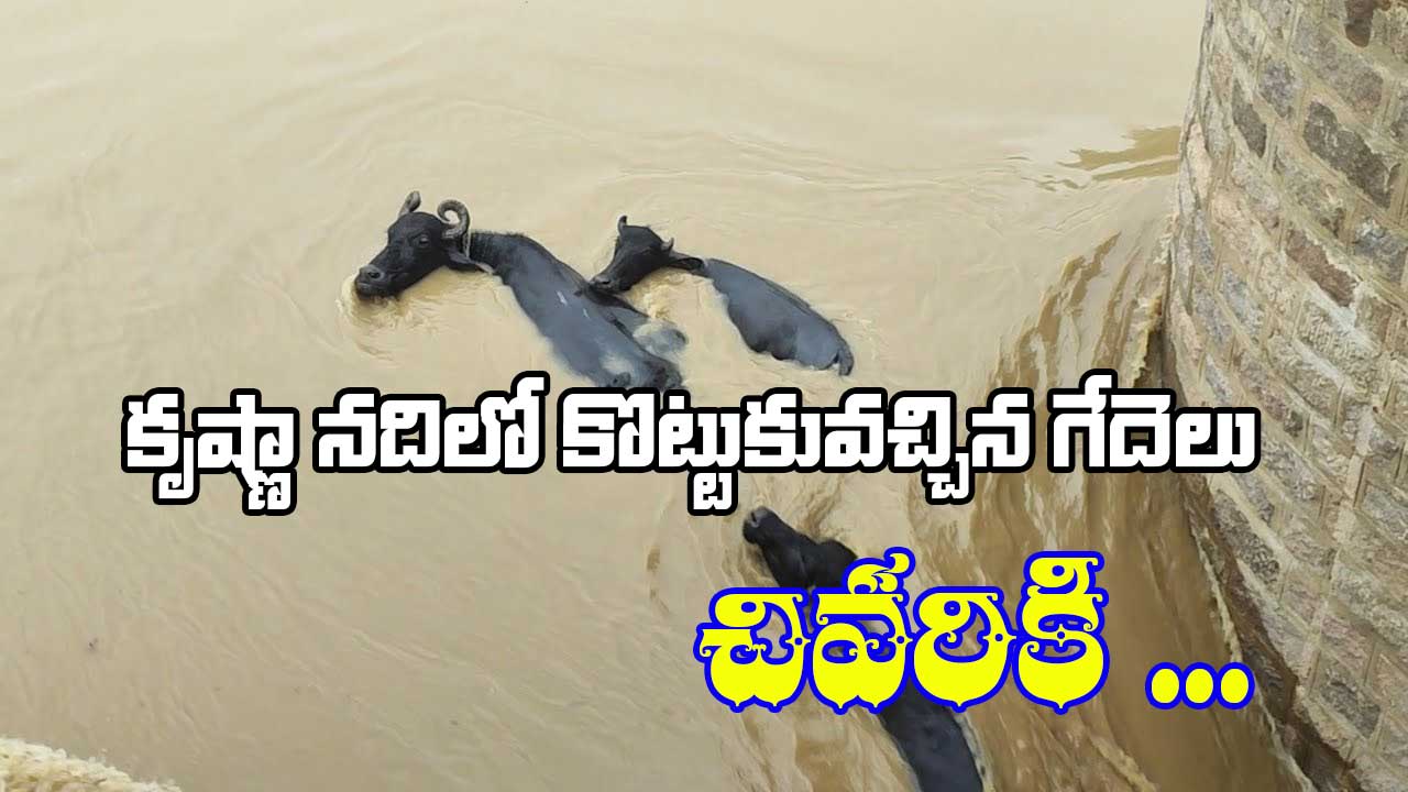 krishan-river-gedelu-flood